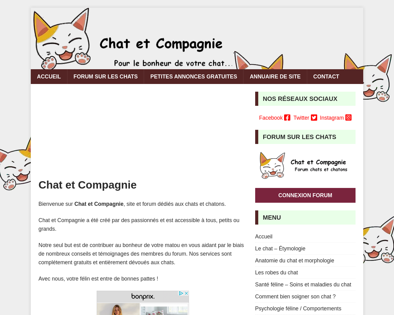 www.chat-et-cie.fr