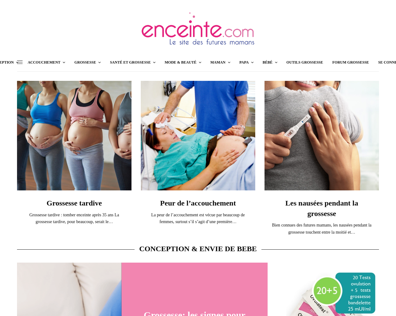 www.enceinte.com