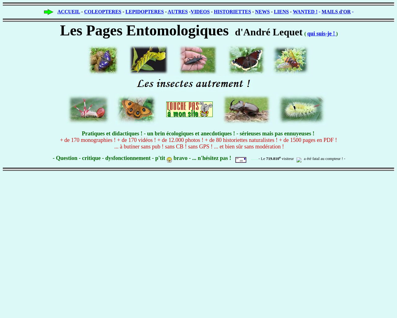 www.insectes-net.fr