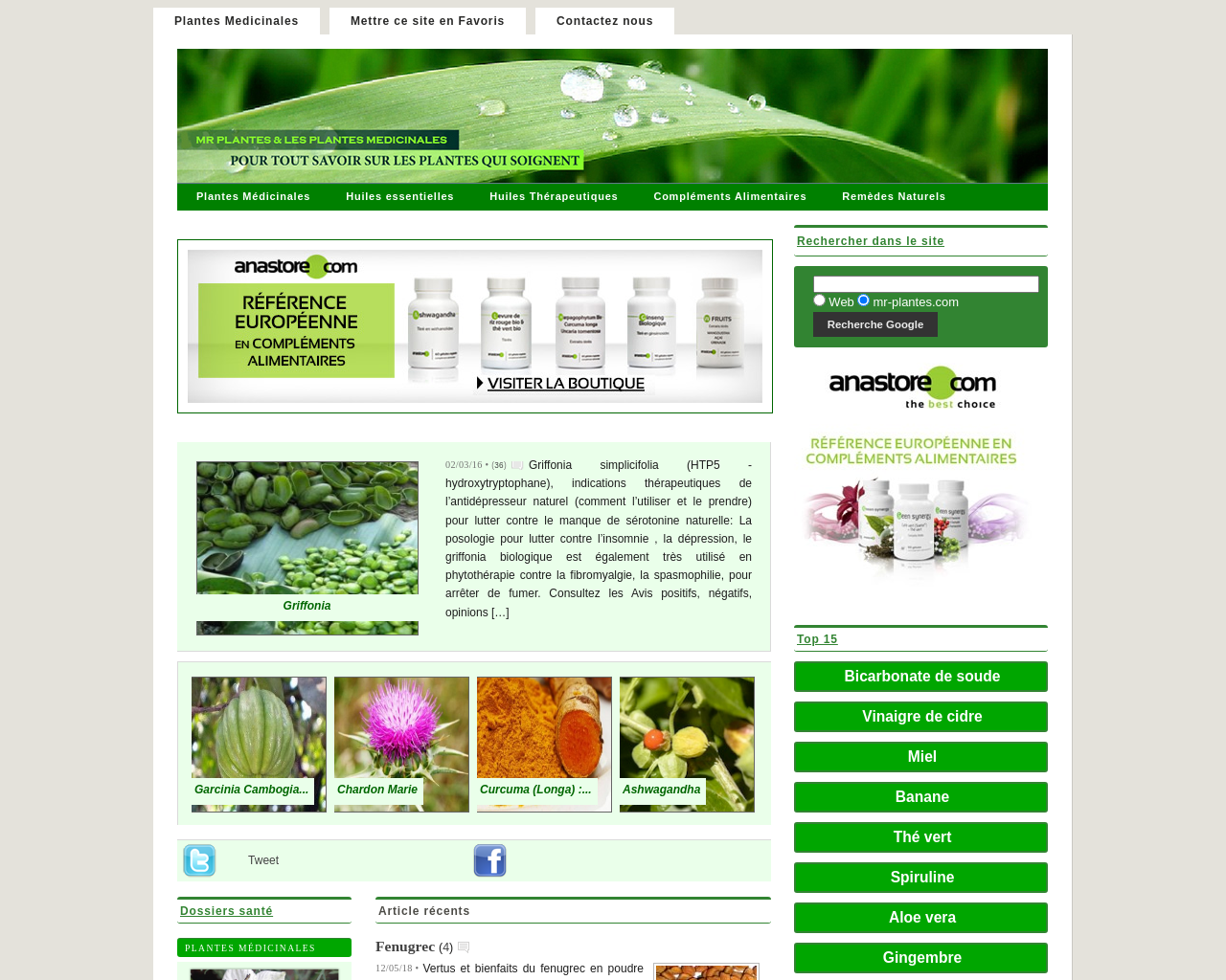www.mr-plantes.com