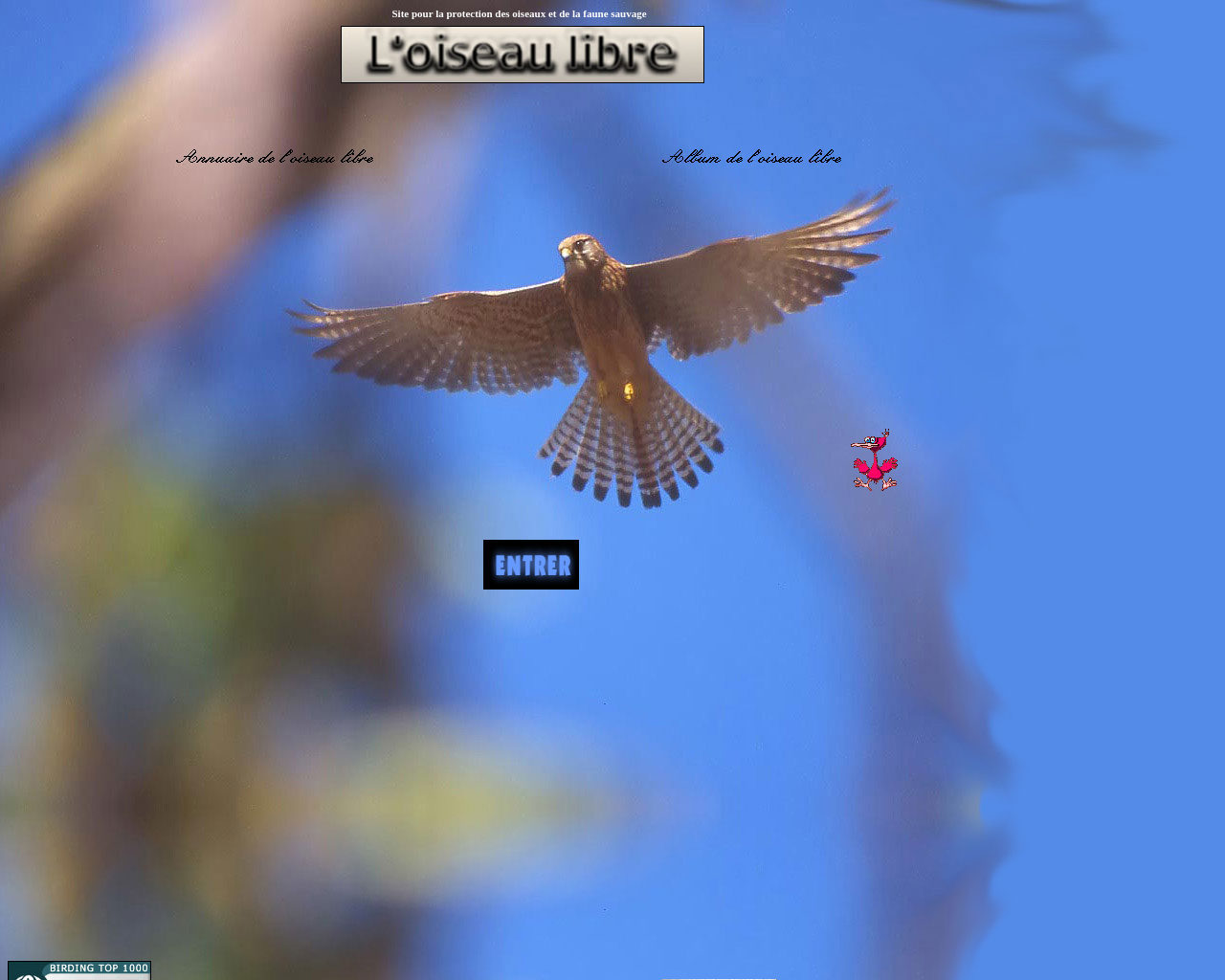www.oiseau-libre.net